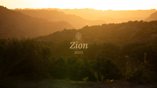 Zion 2025